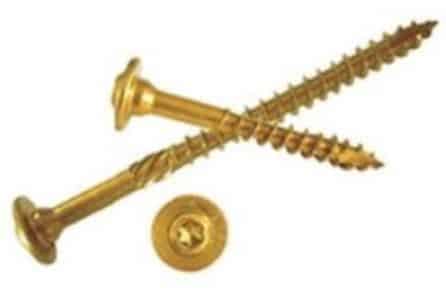Two Gold Structural Screws